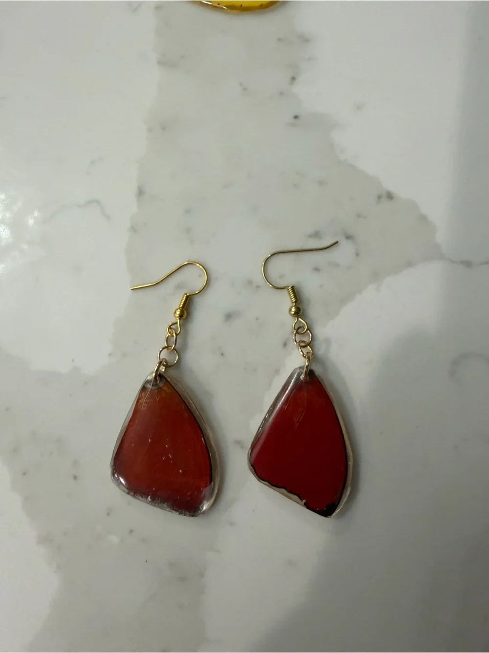Real Cymothoe Hobarti Butterfly Earrings.